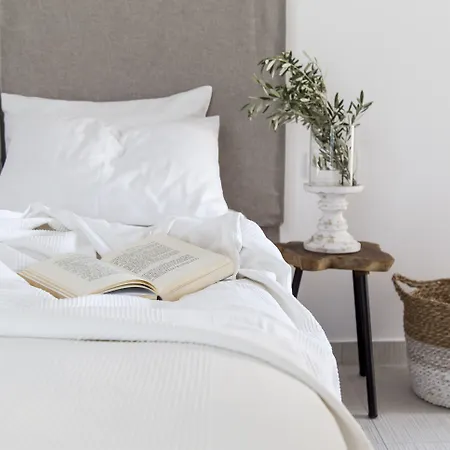 Bay Boutique 4* Ftelia (Mykonos)